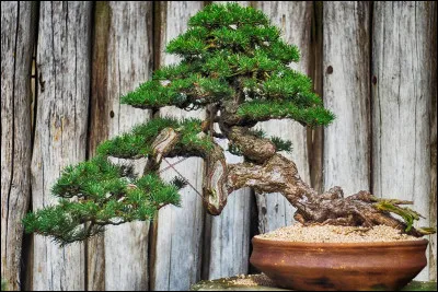 Ce film de Claude Zidi s'intitule...