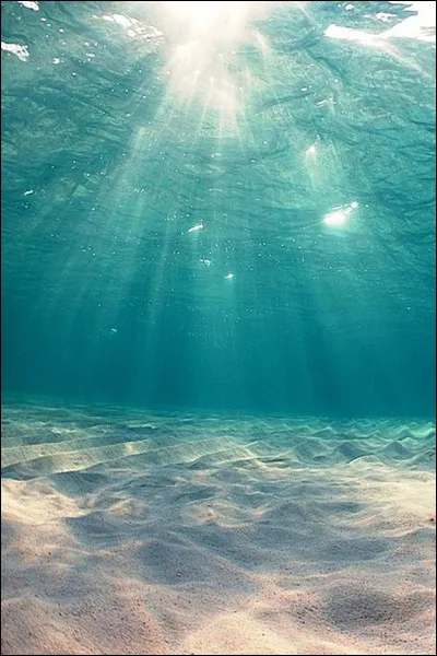 Quel océan est le plus vaste ?