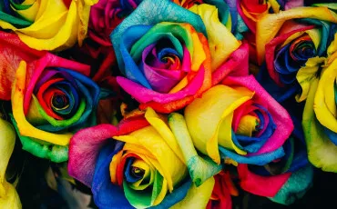 Quiz Couleurs