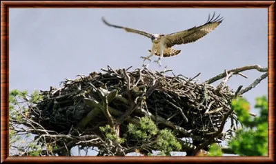 On en attend des bonnes notes, c'est l'...