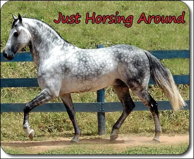 Quelle est la robe sur limage ?