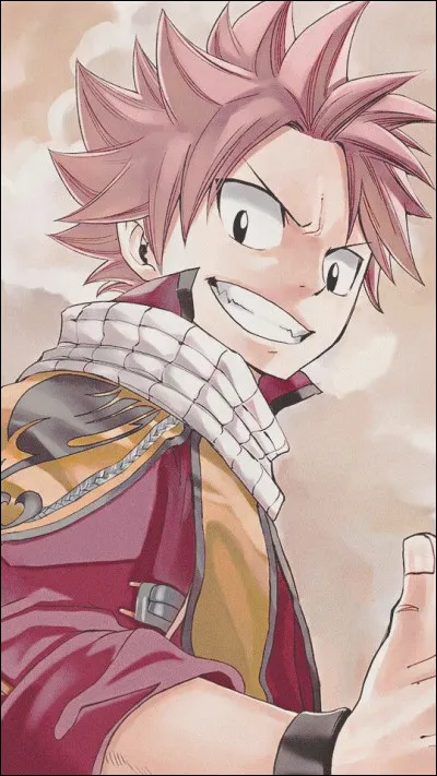 Fairy Tail : qu'est-ce ?