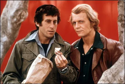 Qui sont ces deux policiers, coéquipiers dans une série TV ?