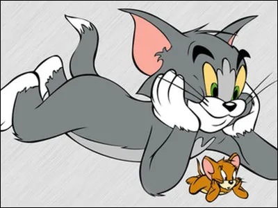 Encore un chat dans une série de dessin animé. Mais cette fois-ci avec une souris. Qui sont-ils ?