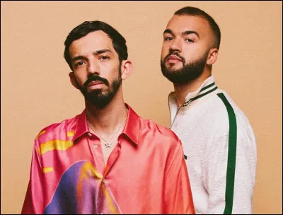 Quel est ce duo de chanteurs ?