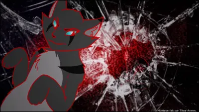 Tu l'oublies, tu dois te concentrer sur l'entraînement ! C'était un incident, il faut se reprendre ! Plume de Faucon t'entraîne encore mais un jour, à ton réveil, tu es ensanglanté de la tête au pied. La veille, Plume de Faucon t'a fait très mal, et tu comprends alors ce qu'il fait...