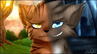 Ce guerrier puissant part sans toi et tes pattes se mettent à courir comme attirées par un aiment. Tu le suis dans un lieu rempli d'apprentis qui se battent. Ce guerrier nommé Plume de Faucon t'apprend à te battre. Ton mentor est fasciné par la technique que tu lui montres mais il te dit qu'il faut continuer avec votre entraînement et que cette technique est inutile pour vous.