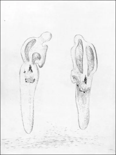Que voyez-vous sur cette illustration des Chants de Maldoror ?