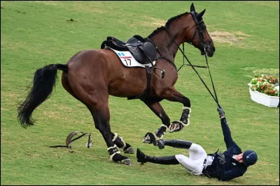Combien fois es-tu tombé de cheval ?