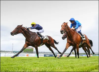 Quel défaut te représente le plus ?