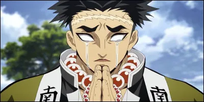 Quelle phrase est fausse concernant Gyomei Himejima ?