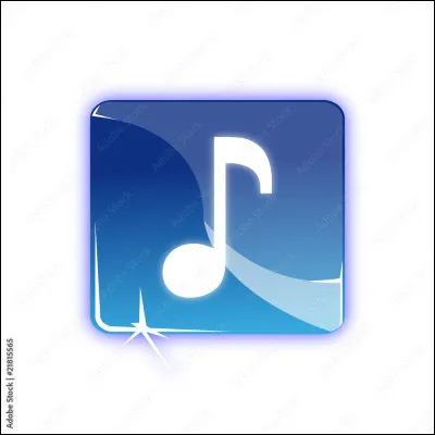 Quel est le nom de ce que vous voyez sur l'image ?