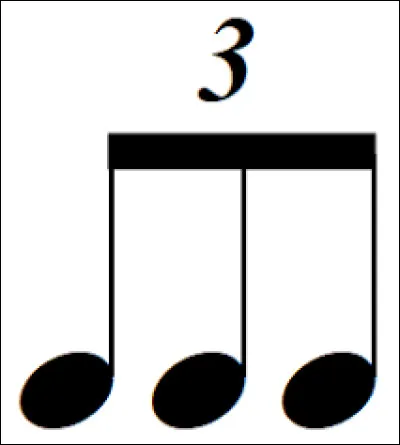 Quel est le nom de ce que vous voyez sur l'image ?