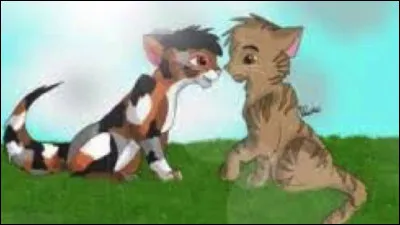 Qui est son compagnon ?