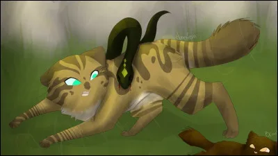 Comment est-elle morte ?