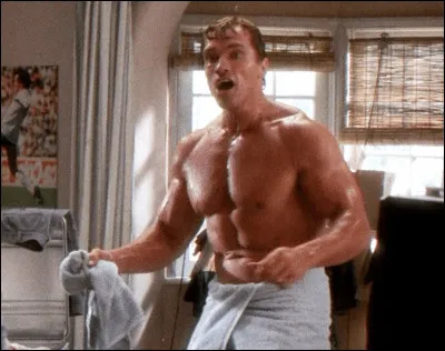 Comment s'intitule cette comédie avec Schwarzenegger ?