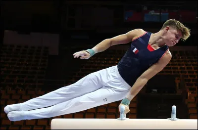 Combiens d'agrès la gymnastique masculine comprend-elle ?