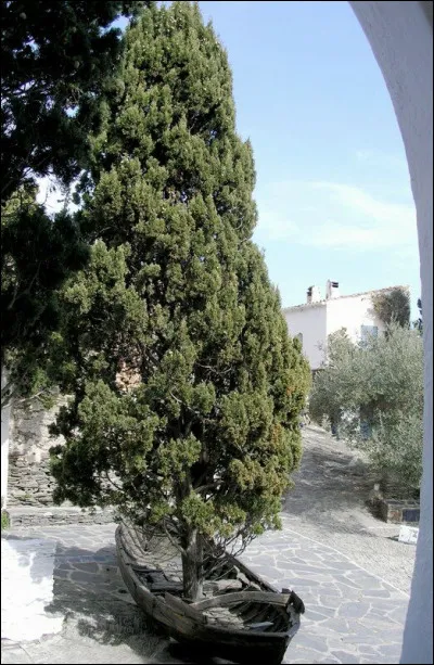 Dali a fait pousser un cyprès au milieu d'une barque, référence à L'Île des morts. Où peut-on voir cette barque ?