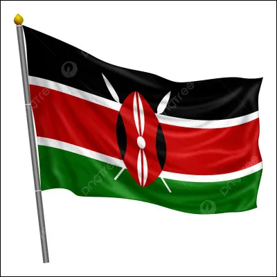 Quel pays africain a termin&eacute; &agrave; la 19e place ?