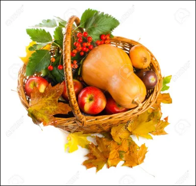 Quel est ton légume préféré ?