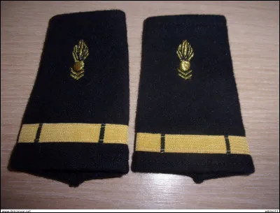 Quel nom portair le bouclier grec en forme de huit ?