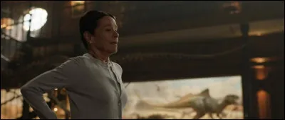 Ce film d'aventure avec Chaplin est...