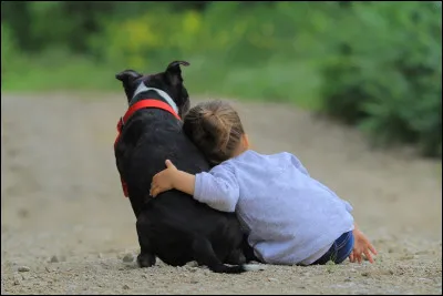 Aimes-tu les enfants et les animaux ?