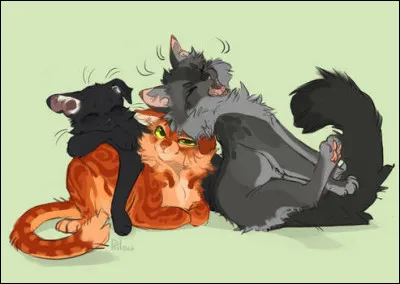 Livre 4 : Quel est le poste de Cur de Feu à présent ?