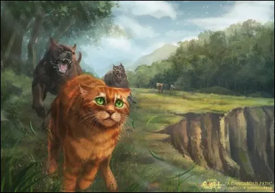 Livre 6 : Quel est le nom de chef de Cur de Feu ?