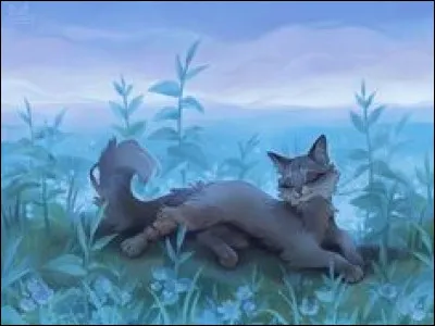 Livre 2 : Qui est son premier apprenti (ou sa première apprentie) et qu'arrive-t-il ?