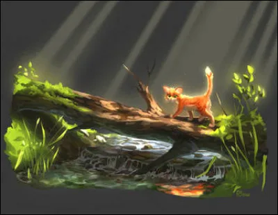 Livre 3 : De qui Cur de Feu se méfie-t-il ?