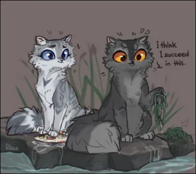 Livre 3 : Qui est la compagne de Plume Grise et qui sont ses chatons ?