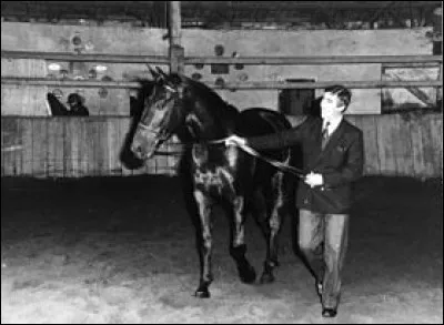 En 1988 à Séoul, Pierre Durand devient champion olympique de saut d'obstacles. Sur quel cheval ?