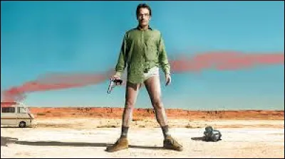 Par quoi Walter a-t-il remplac&eacute; la meth dans l'appartement de Tuco ?