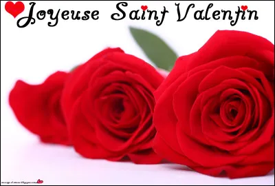 M&ecirc;me question. Que voudrais-tu qu'il t'offre pour la Saint-Valentin ?