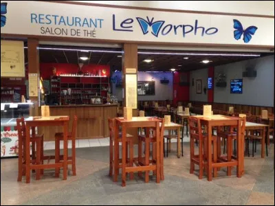 C'est grâce à cet insecte que vous allez trouver le nom d'un saint !