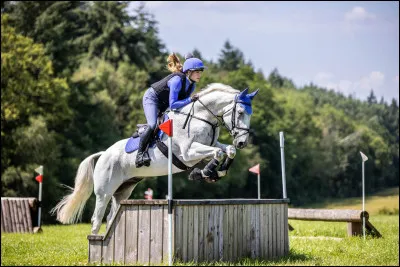Quel est ton type de cheval ?