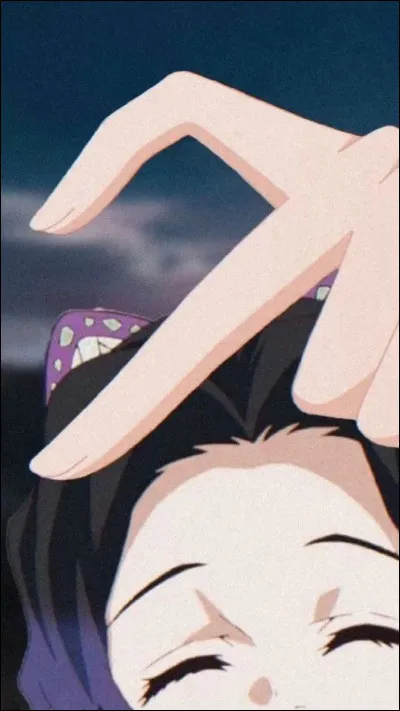 Quel est ton couple de ''Demon Slayer'' préféré ?