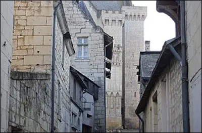 Au XIVe siècle, quel nom portait la masse de cheveux postiches que les femmes portaient sur les tempes ?