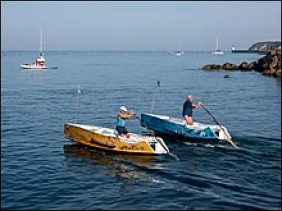 Lequel de ces mots est un des noms usuel du rouge-gorge ?