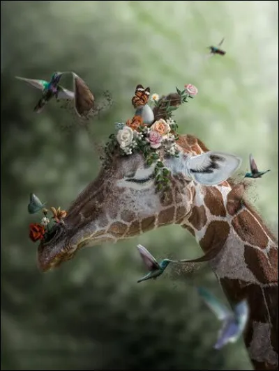 Quel animal préfères-tu ? 
(Ces propositions ne font pas partie des résultats.)