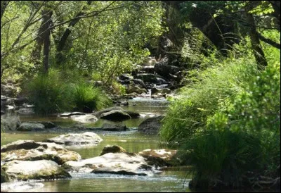 Tu fais une balade à côté d'une rivière. Il fait très chaud et tu as envie de te baigner, malheureusement tu n'as pas pensé à prendre ton maillot de bain, qu'est-ce que tu fais ?