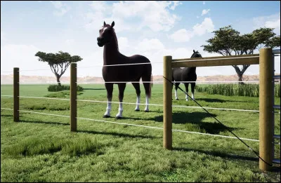 Tu fais une balade avec des amis(e)s et vous marchez à côté d'un champ avec une clôture électrique. Ton ami(e) te dit : "À ton avis, ça fait quoi si j'empoigne la clôture ?". 
Comment est-ce que tu réagis ?
