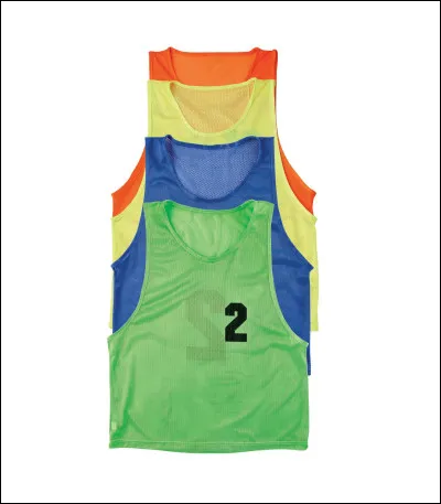 De quelles couleurs sont les chasubles qu'on aperçoit dans le cagibi de sport (ép 3 s2) ? En...