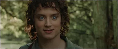 Dans quelle saga joue Elijah Wood ?
