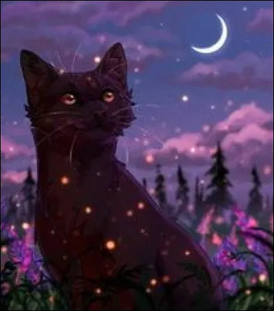 Alors qui est le personnage mystère ?