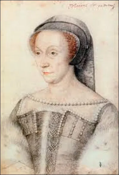 Née le 3 septembre 1499 ou le 9 janvier 1500 et morte le 26 avril 1566 à Anet (Eure-et-Loir), Diane de Poitiers est une comtesse et duchesse. De quel roi de France fut-elle la favorite pendant plus de vingt ans ?