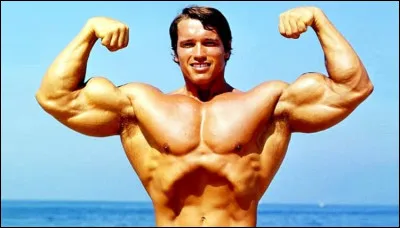 ''Arnold le magnifique'' est un film sur le culturisme, dans lequel Arnold Schwarzenegger joue son propre rôle. Qu'est-il devenu, après avoir pris sa retraite de culturiste ?