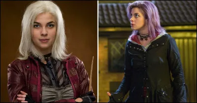 Quel a été le premier patronus de Nimphadora Tonks ?