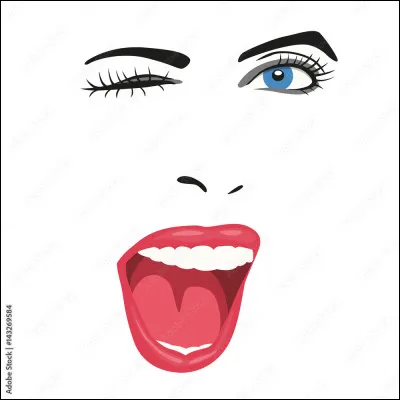 Qu'est-ce qu'une tourtière ?